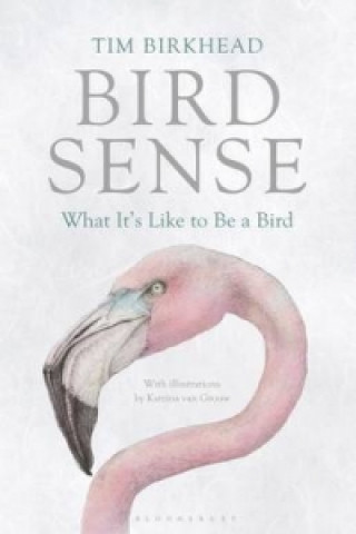 Kniha Bird Sense Tim Birkhead