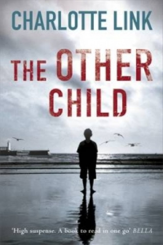 Könyv Other Child Charlotte Link