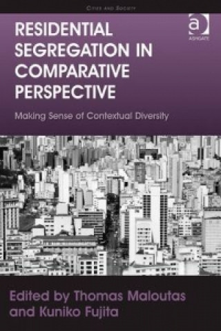 Knjiga Residential Segregation in Comparative Perspective Kuniko Fujita