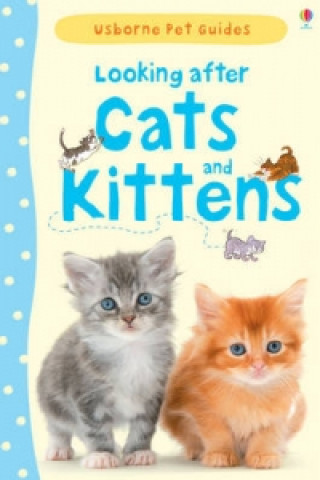 Carte Looking after Cats and Kittens Katherine Starke