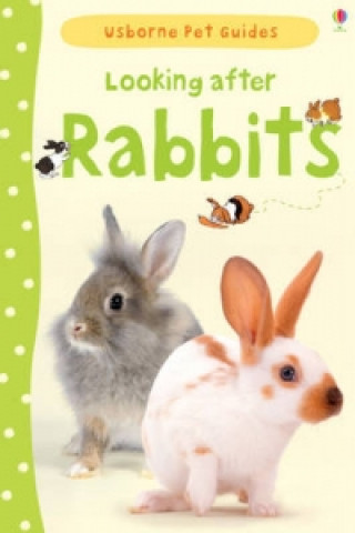 Book Looking after Rabbits Fiona Patchett