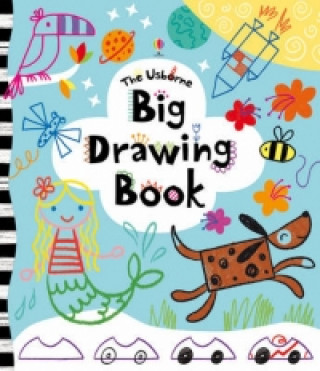Book Big Drawing Book Fiona Watt