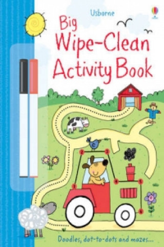 Book Big Wipe Clean Activity Book Sam Taplin