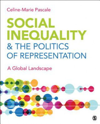 Kniha Social Inequality & The Politics of Representation Celine-Marie Pascale