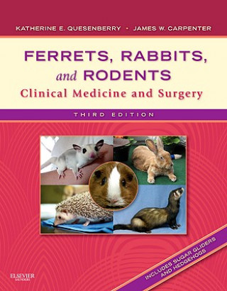 Knjiga Ferrets, Rabbits, and Rodents Katherine Quesenberry