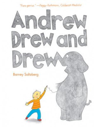 Kniha Andrew Drew and Drew Barney Saltzberg