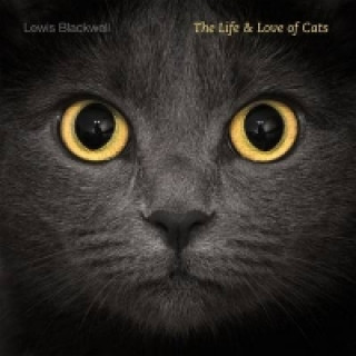 Könyv Life and Love of Cats Lewis Blackwell