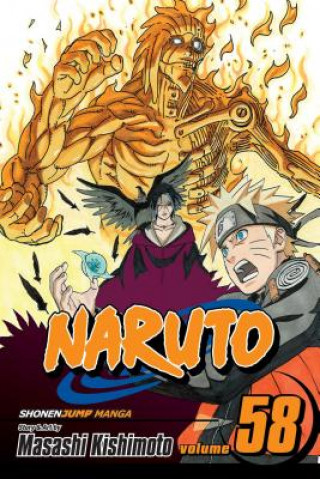 Kniha Naruto, Vol. 58 Masashi Kishimoto
