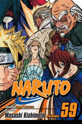 Kniha Naruto, Vol. 59 Masashi Kishimoto