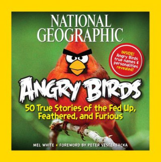 Buch Angry Birds Mel White