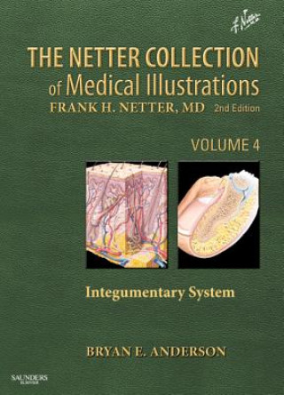 Kniha Netter Collection of Medical Illustrations: Integumentary System Bryan E Anderson