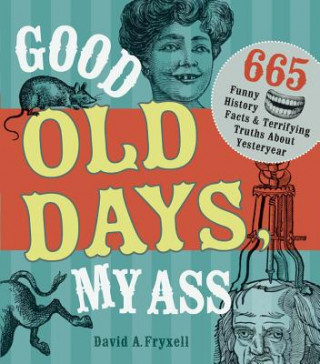Kniha Good Old Days My @$$ David A Fryxell