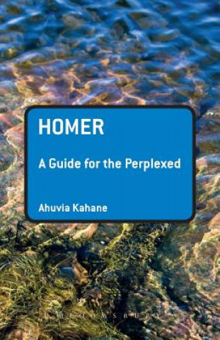 Kniha Homer: A Guide for the Perplexed Ahuvia Kahane