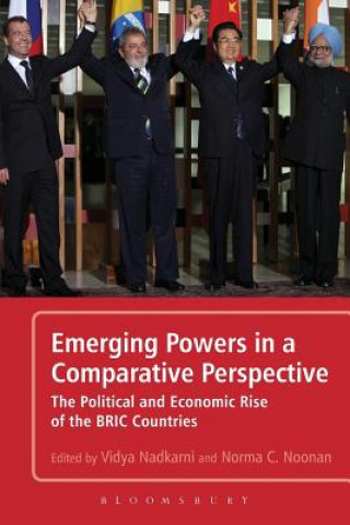 Könyv Emerging Powers in a Comparative Perspective Vidya Nadkarni