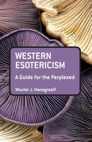 Kniha Western Esotericism: A Guide for the Perplexed Wouter J Hanegraaff