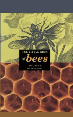 Kniha Little Book of Bees C H Vergara