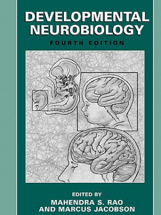 Könyv Developmental Neurobiology Mahendra S Rao