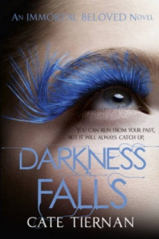 Carte Darkness Falls (Immortal Beloved Book Two) Cate Tiernan