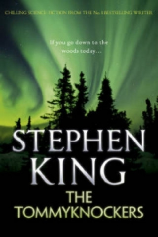 Kniha Tommyknockers Stephen King