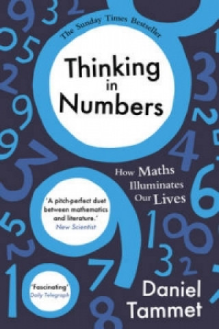 Könyv Thinking in Numbers Daniel Tammet