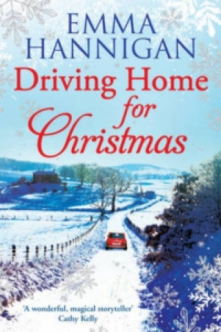 Kniha Driving Home for Christmas Emma Hannigan
