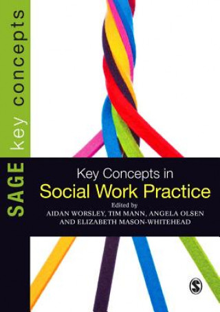 Buch Key Concepts in Social Work Practice Aidan Worsley