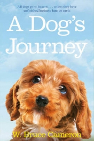 Carte Dog's Journey W Bruce Cameron