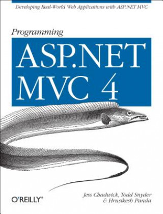 Kniha Programming ASP.NET MVC 4 Jess Chadwick