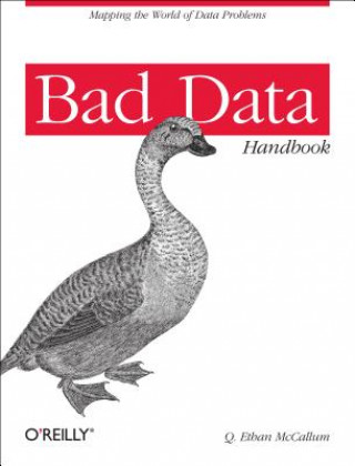 Könyv Bad Data Handbook Q Ethan McCallum