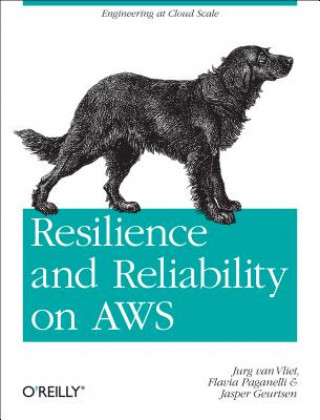 Könyv Resilience and Reliability on AWS Jurg van Vliet