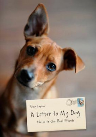 Książka Letter to My Dog Robin Layton