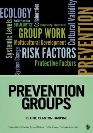 Книга Prevention Groups Robert K Conyne