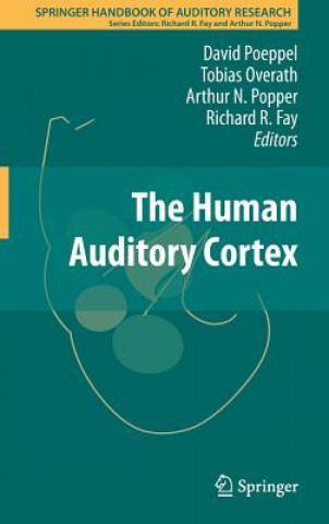 Knjiga Human Auditory Cortex David Poeppel