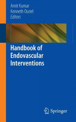 Livre Handbook of Endovascular Interventions Amit Kumar