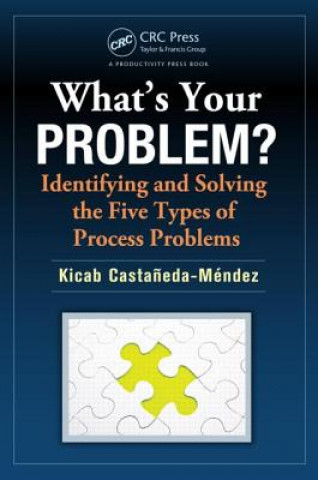 Carte What's Your Problem? Identifying and Solving the Five Types of Process Problems Kicab Castaneda Mendez