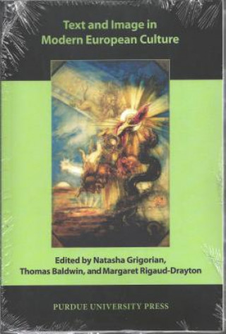 Kniha Text and Image in Modern European Culture Natasha Grigorian