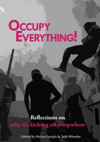 Buch Occupy Everything! Alessio Lunghi