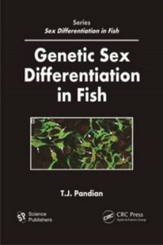 Kniha Genetic Sex Differentiation in Fish T  J Pandian