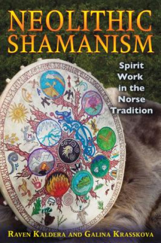 Kniha Neolithic Shamanism Raven Kaldera