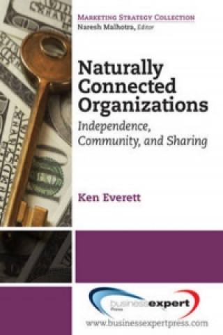 Kniha Designing the Networked Organization Everett