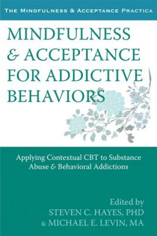 Könyv Mindfulness and Acceptance for Addictive Behaviors Steven Hayes