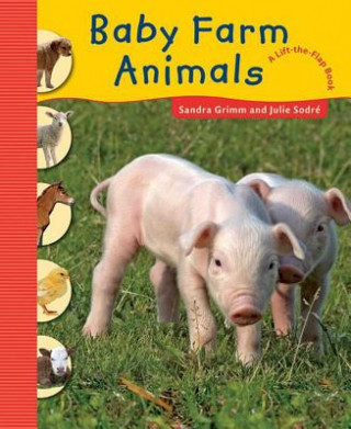 Kniha Baby Farm Animals Sandra Grimm