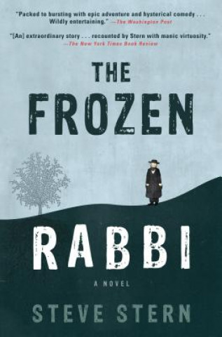 Carte Frozen Rabbi Steve Stern