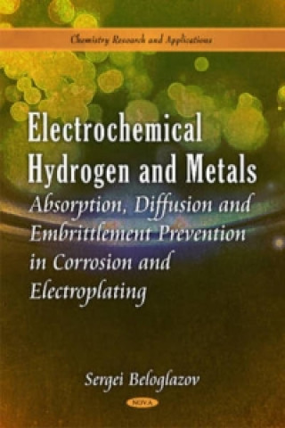 Kniha Electrochemical Hydrogen & Metals Absorption Sergei Beloglazov