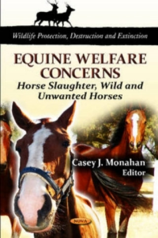 Könyv Equine Welfare Concerns Casey J Monahan