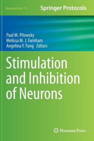 Книга Stimulation and Inhibition of Neurons Paul M Pilowsky