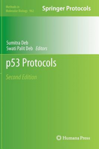 Könyv p53 Protocols Sumitra Deb