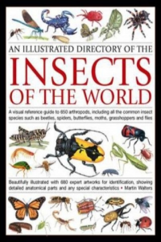 Kniha Illustrated Directory of Insects of the World Martin Walters