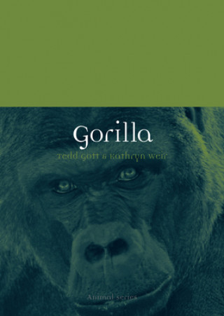 Kniha Gorilla Gott Gott