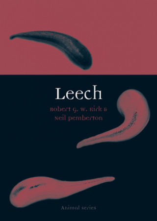 Kniha Leech Robert Kirk